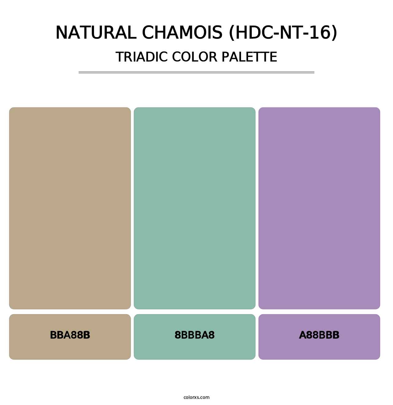 Natural Chamois (HDC-NT-16) - Triadic Color Palette