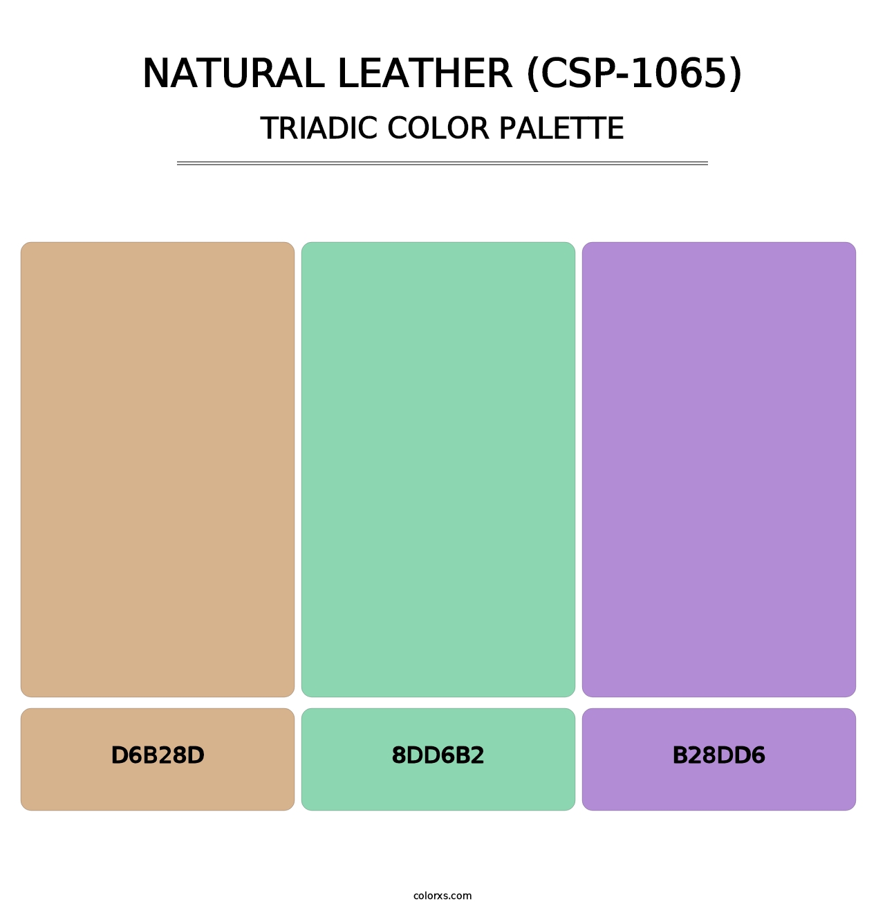 Natural Leather (CSP-1065) - Triadic Color Palette