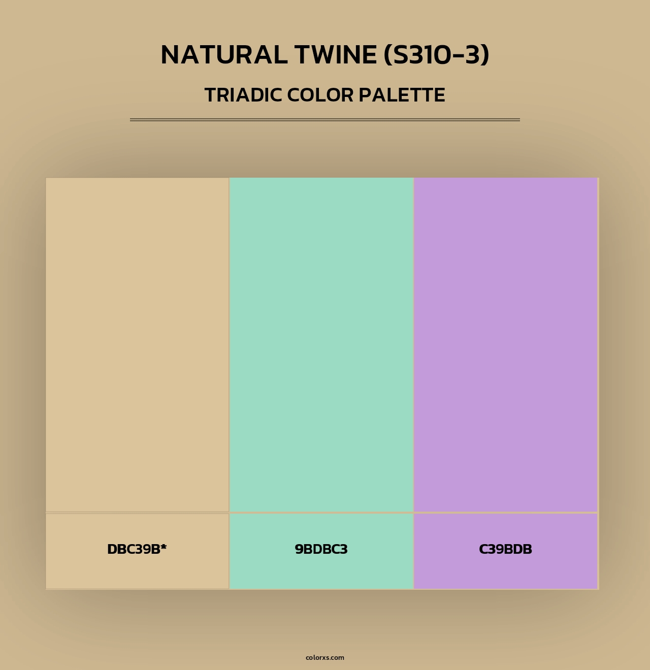 Natural Twine (S310-3) - Triadic Color Palette