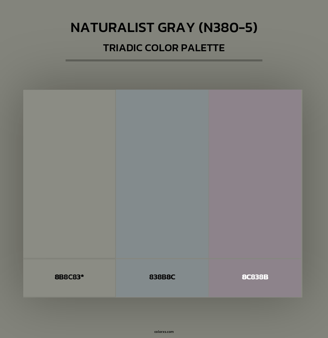 Naturalist Gray (N380-5) - Triadic Color Palette