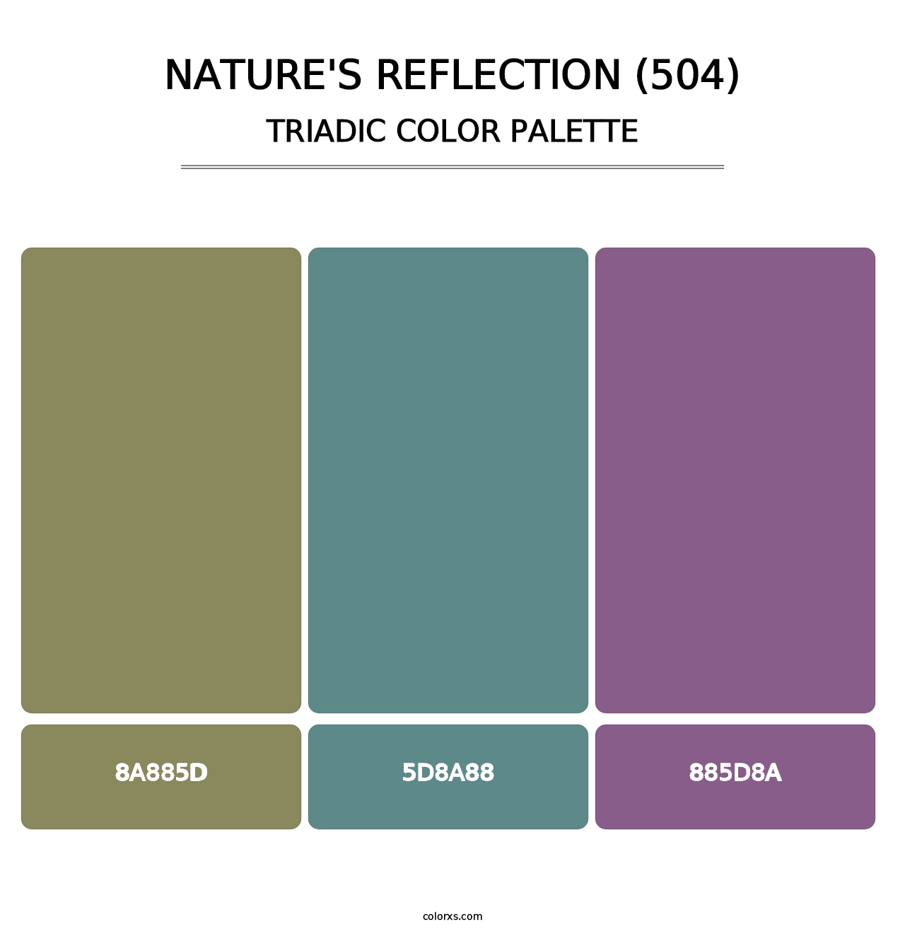 Nature's Reflection (504) - Triadic Color Palette