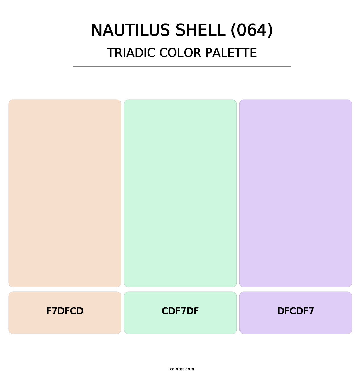 Nautilus Shell (064) - Triadic Color Palette