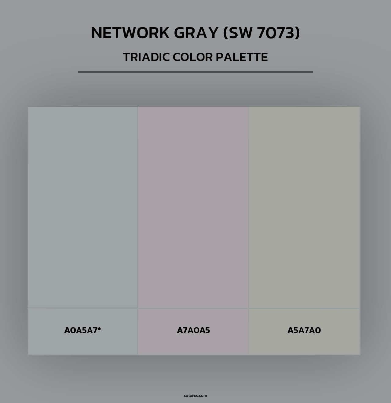 Network Gray (SW 7073) - Triadic Color Palette