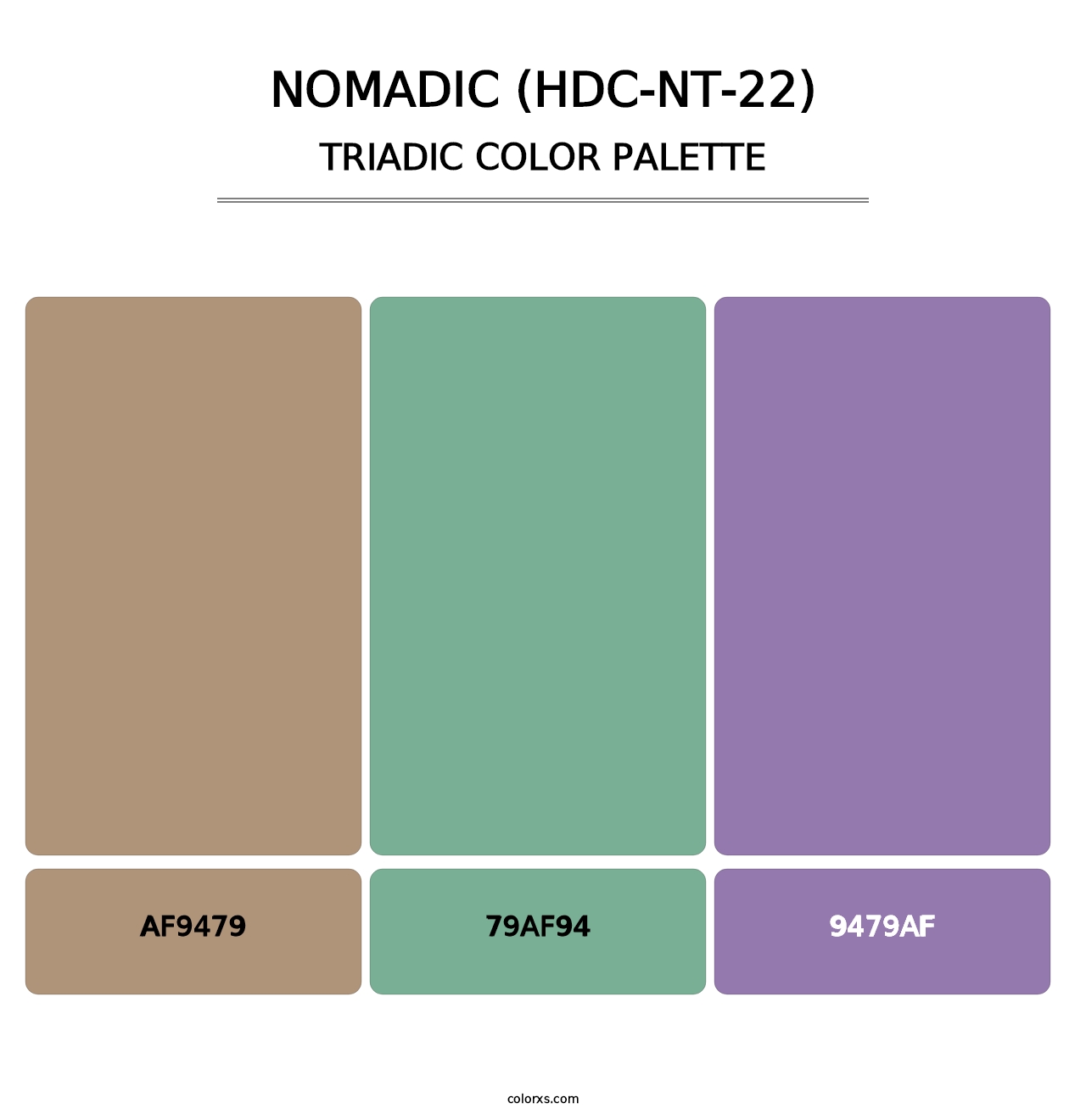 Nomadic (HDC-NT-22) - Triadic Color Palette