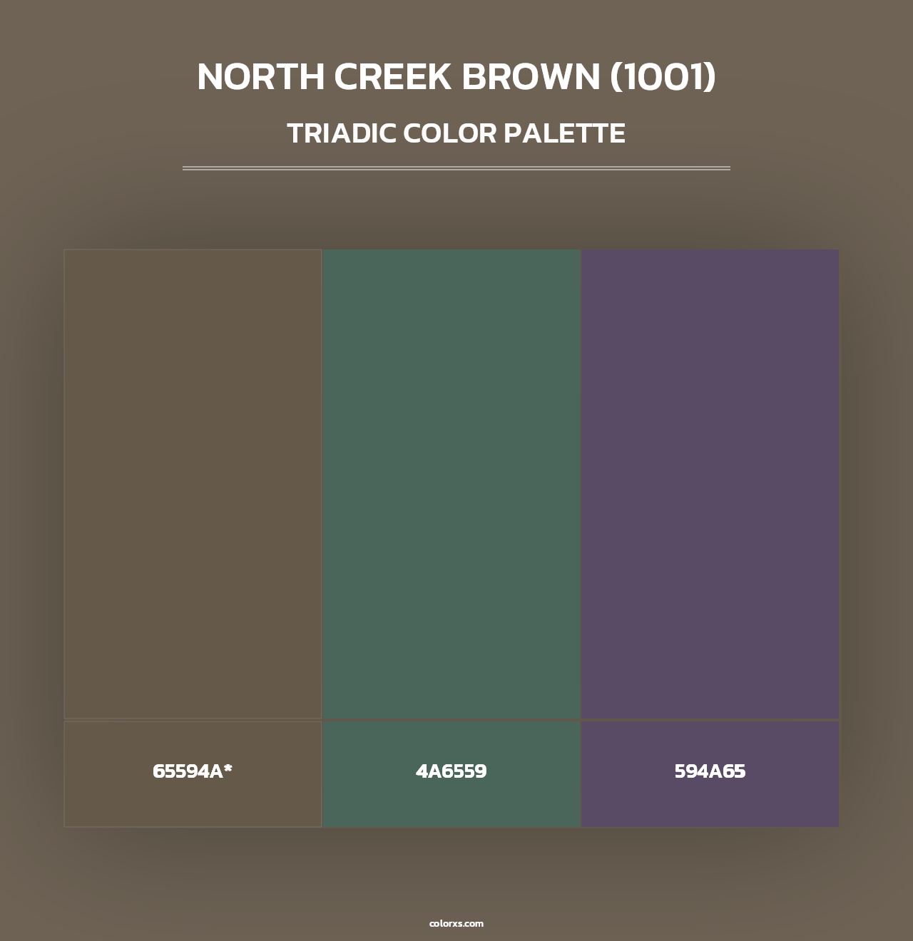 North Creek Brown (1001) - Triadic Color Palette