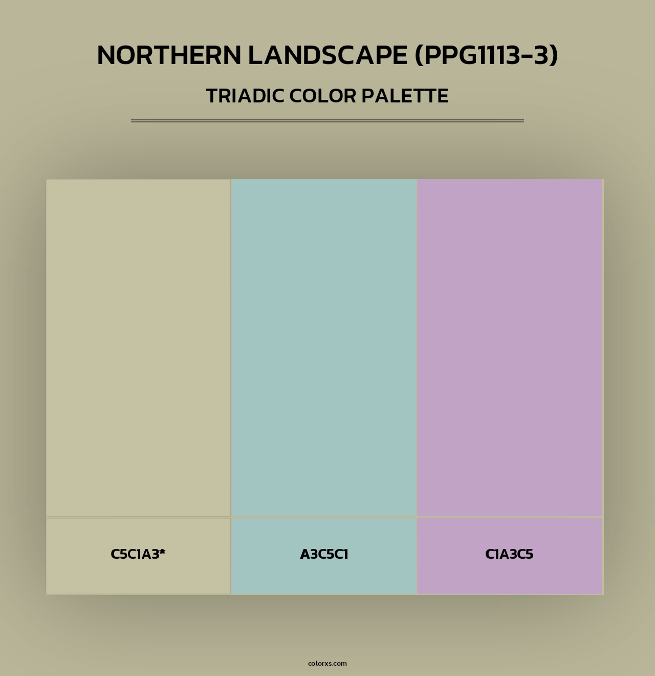 Northern Landscape (PPG1113-3) - Triadic Color Palette