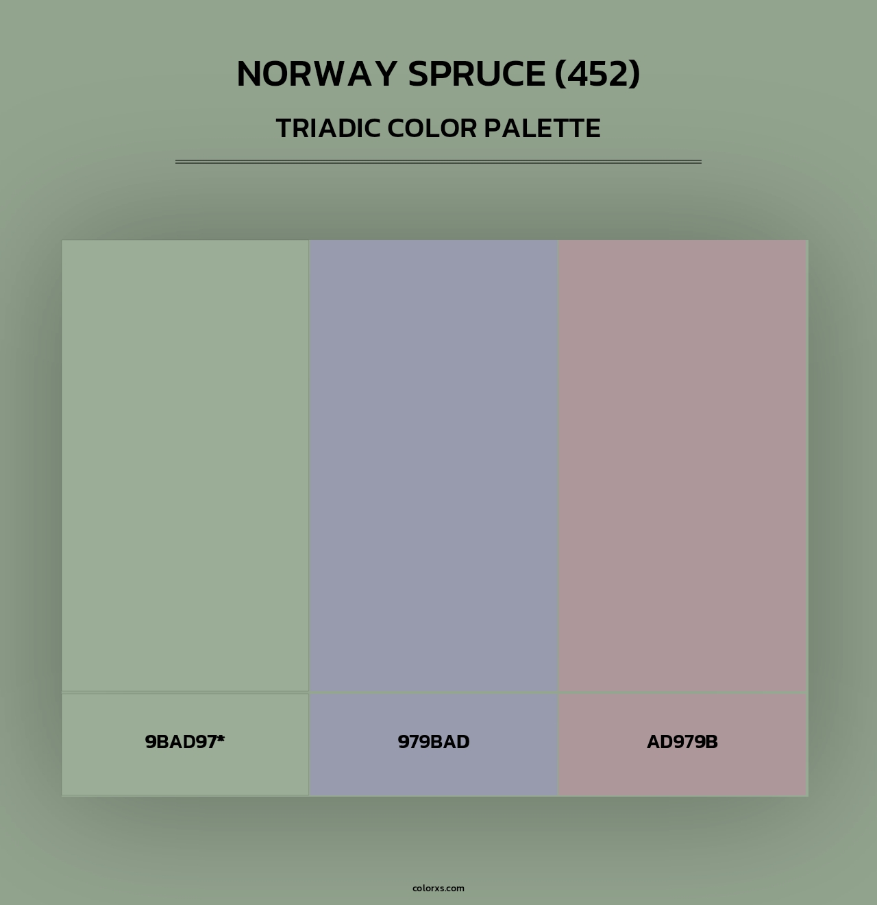 Norway Spruce (452) - Triadic Color Palette