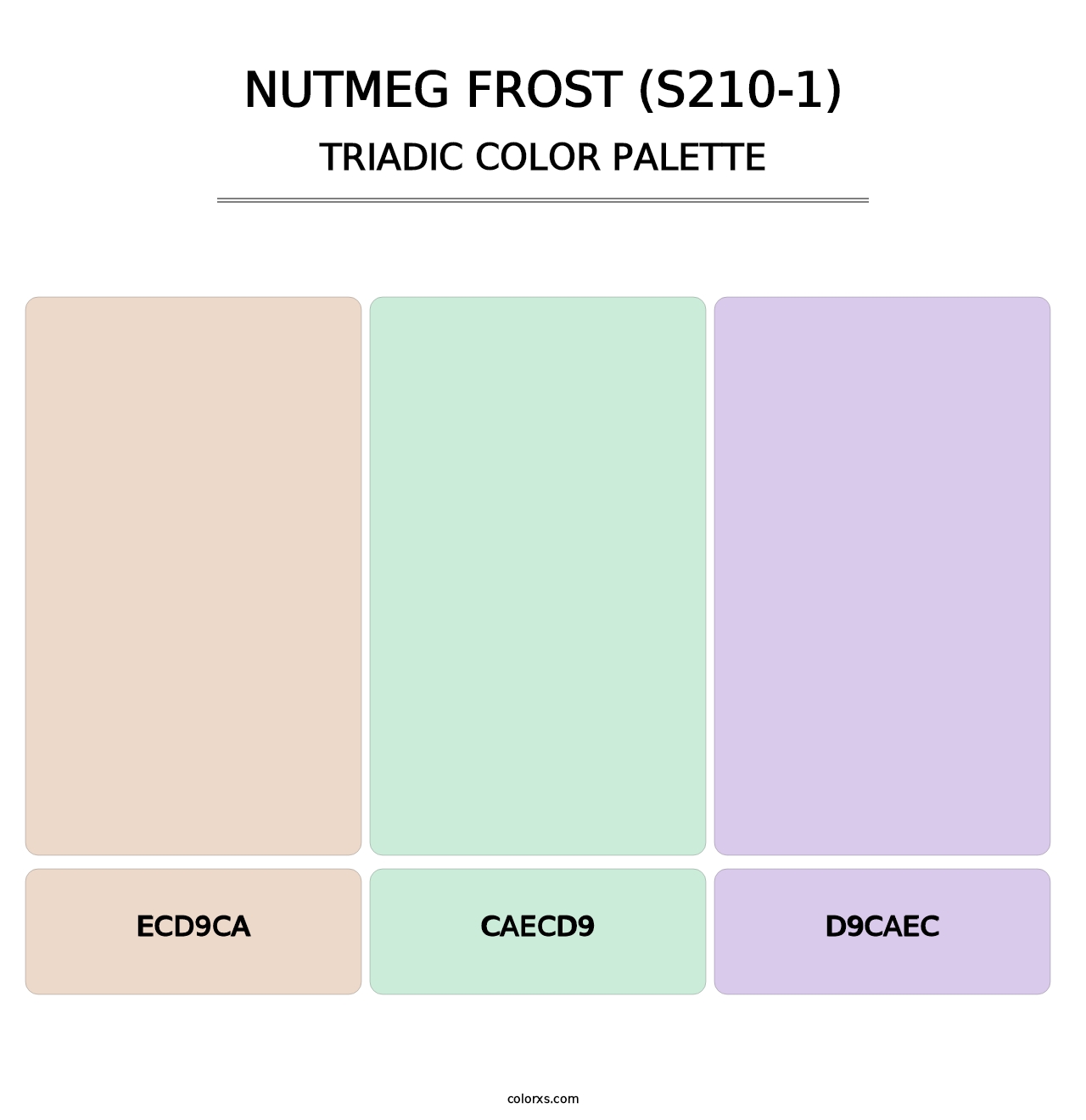 Nutmeg Frost (S210-1) - Triadic Color Palette