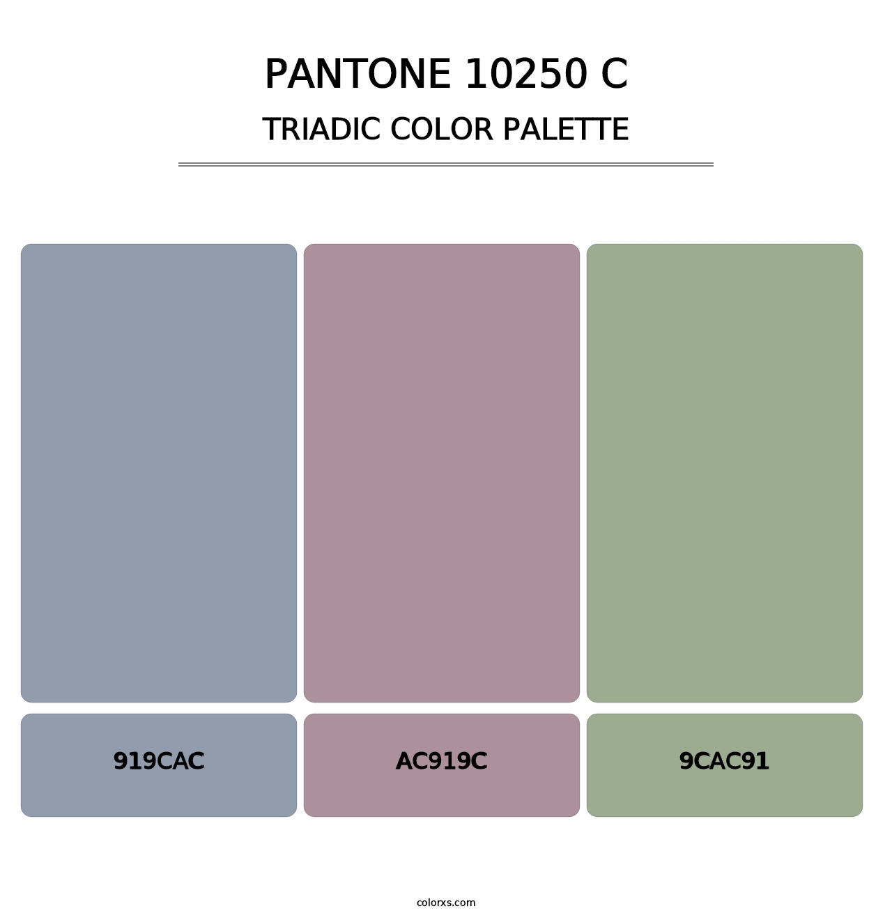 PANTONE 10250 C - Triadic Color Palette