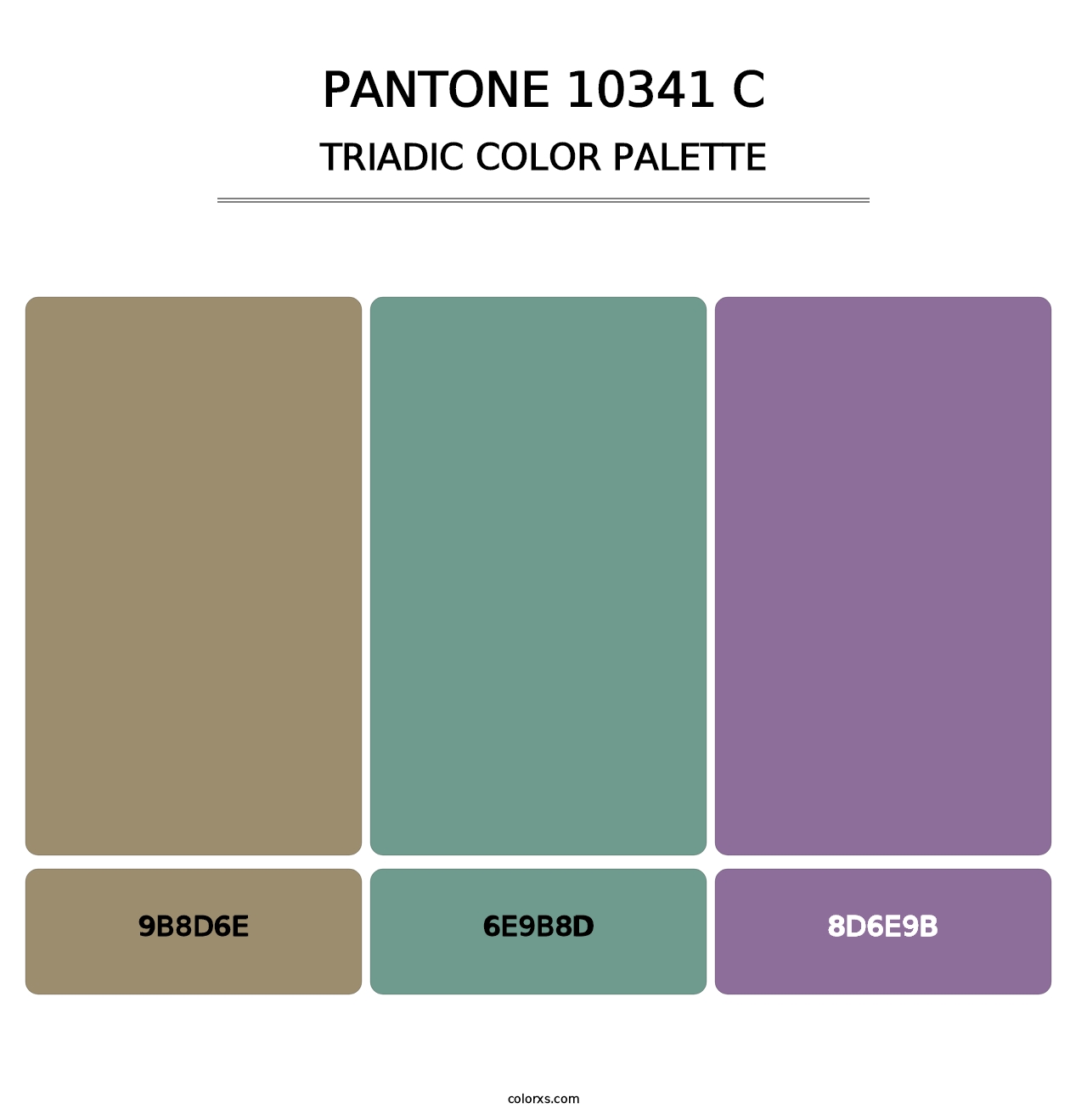 PANTONE 10341 C - Triadic Color Palette