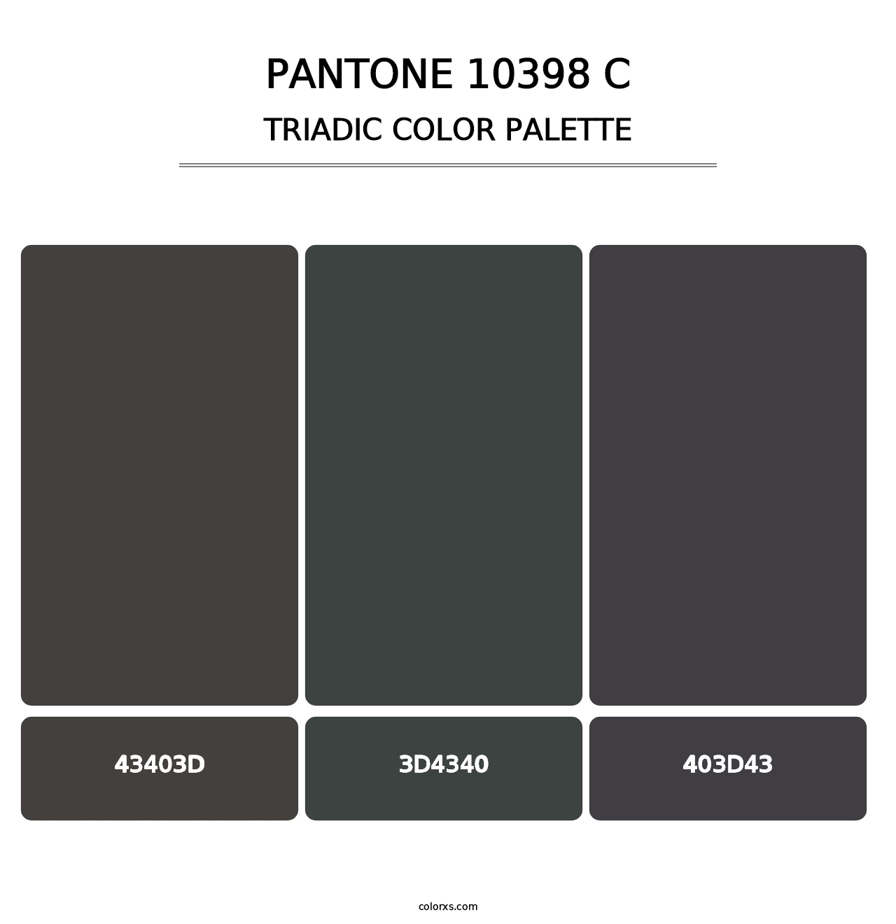PANTONE 10398 C - Triadic Color Palette