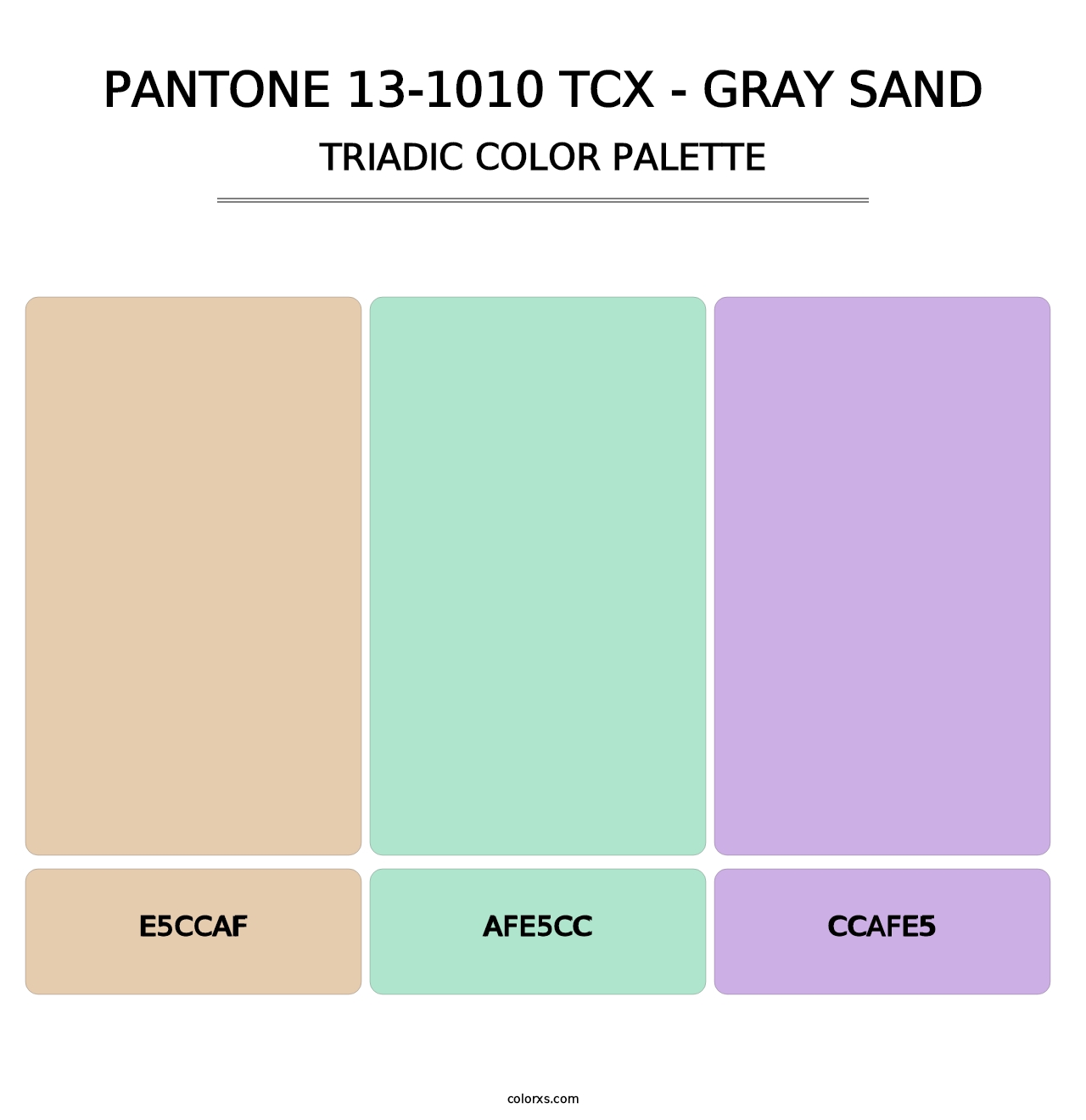 PANTONE 13-1010 TCX - Gray Sand - Triadic Color Palette