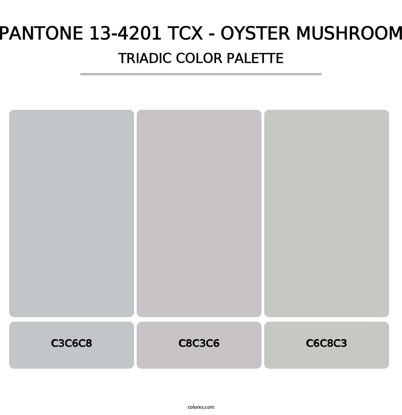 PANTONE 13-4201 TCX - Oyster Mushroom - Triadic Color Palette