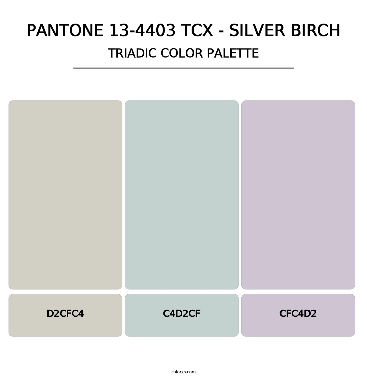 PANTONE 13-4403 TCX - Silver Birch - Triadic Color Palette