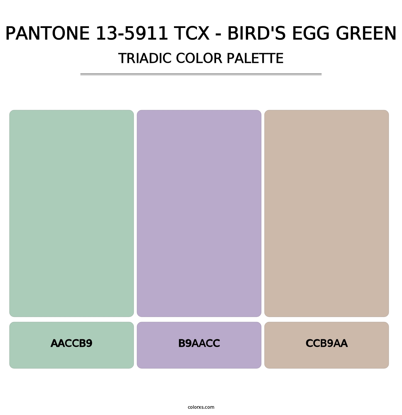 PANTONE 13-5911 TCX - Bird's Egg Green - Triadic Color Palette