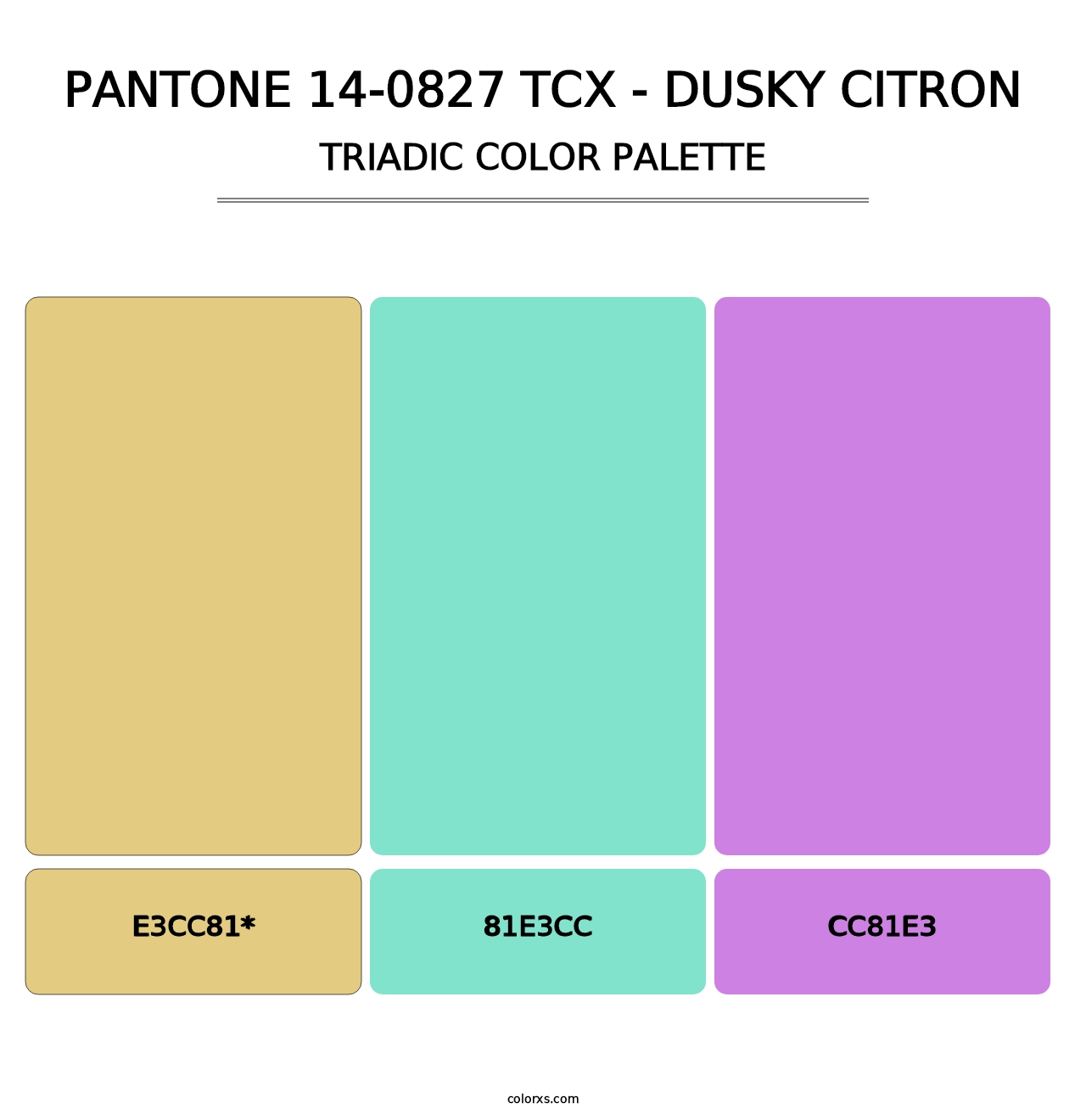 PANTONE 14-0827 TCX - Dusky Citron - Triadic Color Palette