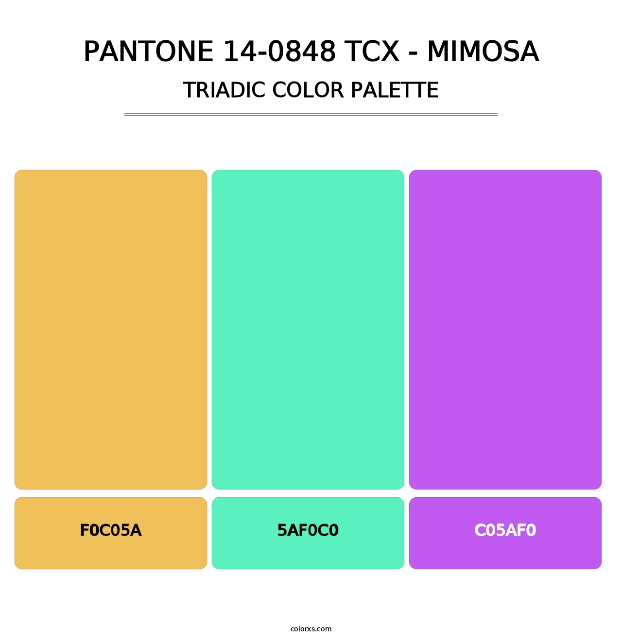 PANTONE 14-0848 TCX - Mimosa - Triadic Color Palette