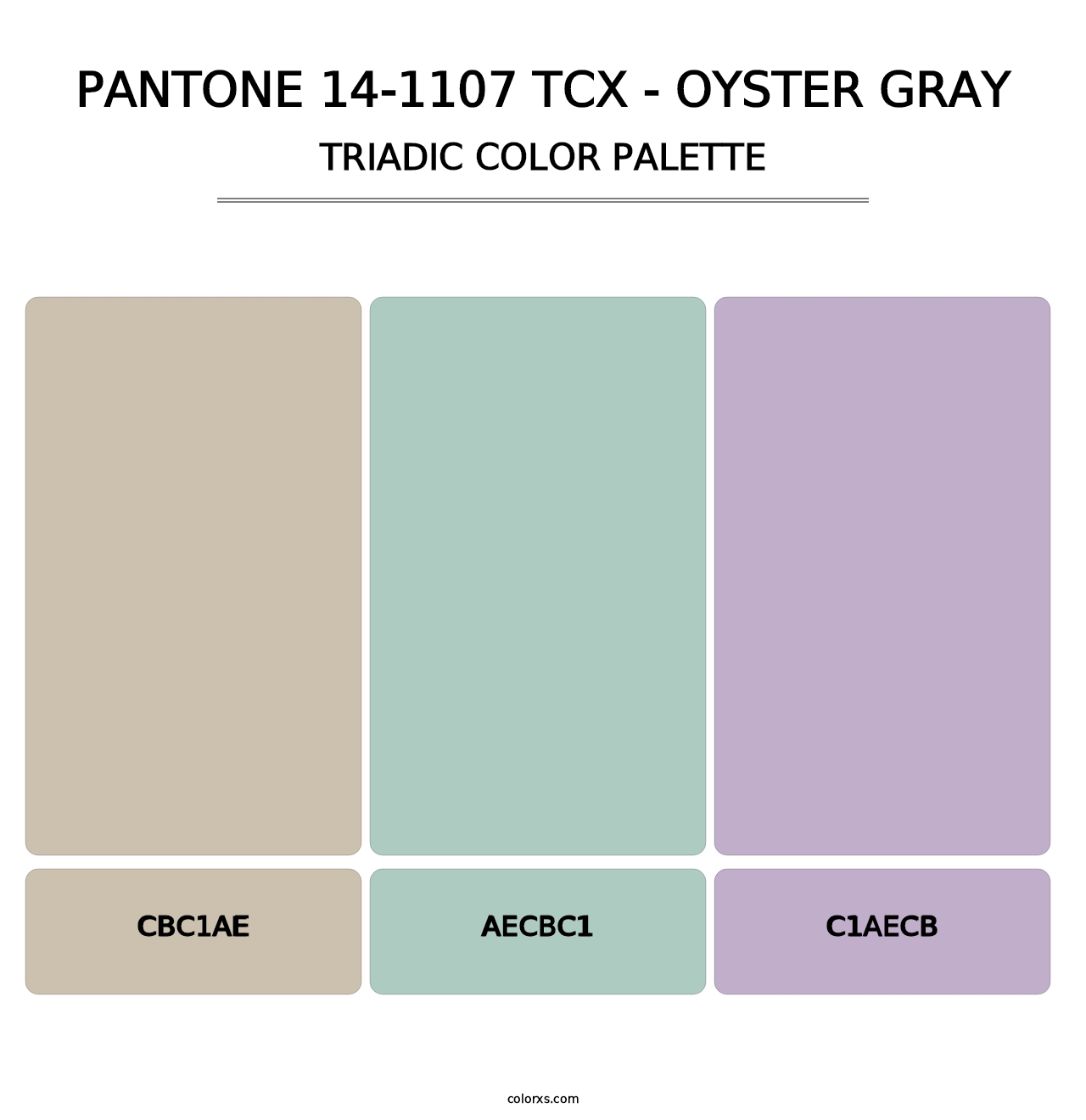 PANTONE 14-1107 TCX - Oyster Gray - Triadic Color Palette