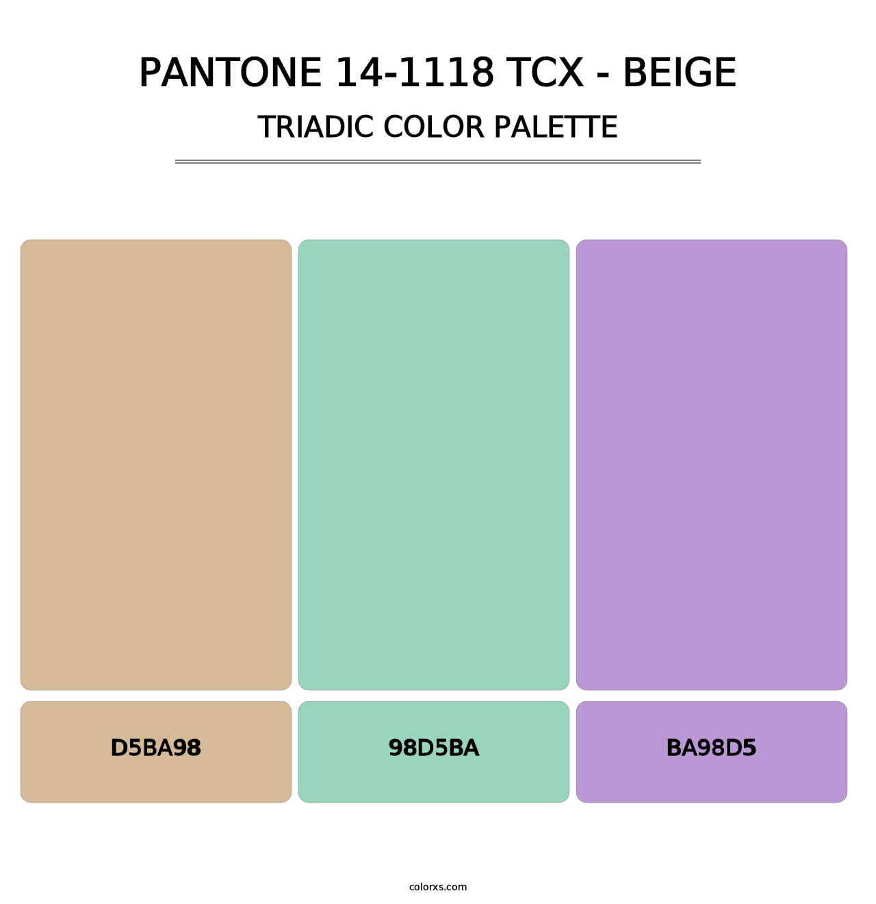 PANTONE 14-1118 TCX - Beige - Triadic Color Palette