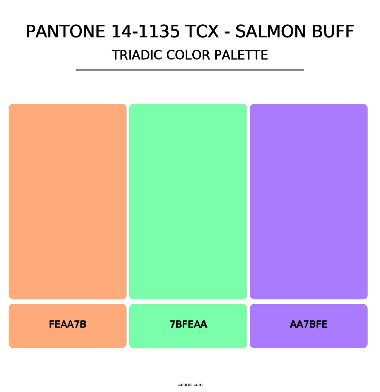 PANTONE 14-1135 TCX - Salmon Buff - Triadic Color Palette