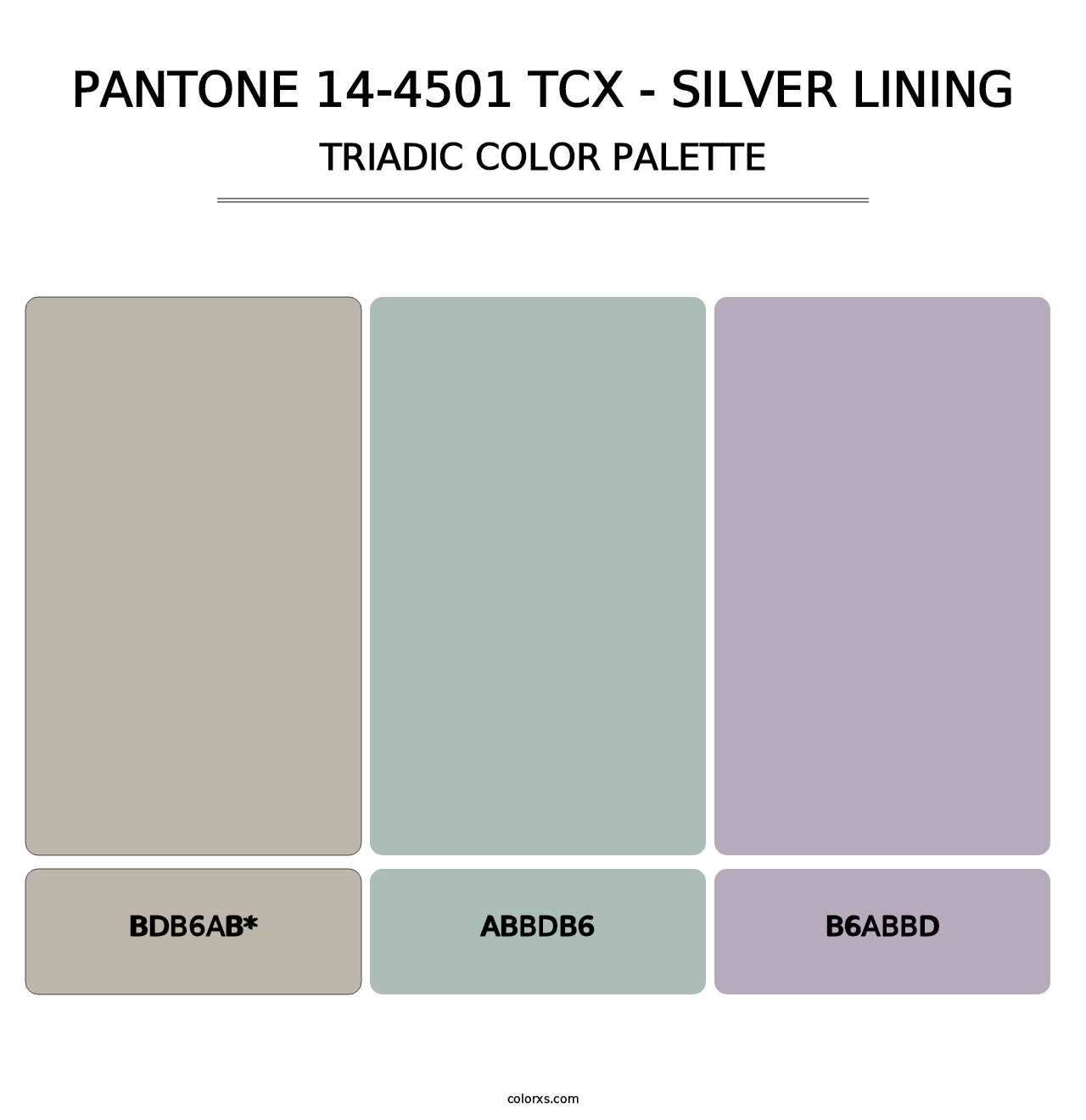 PANTONE 14-4501 TCX - Silver Lining - Triadic Color Palette