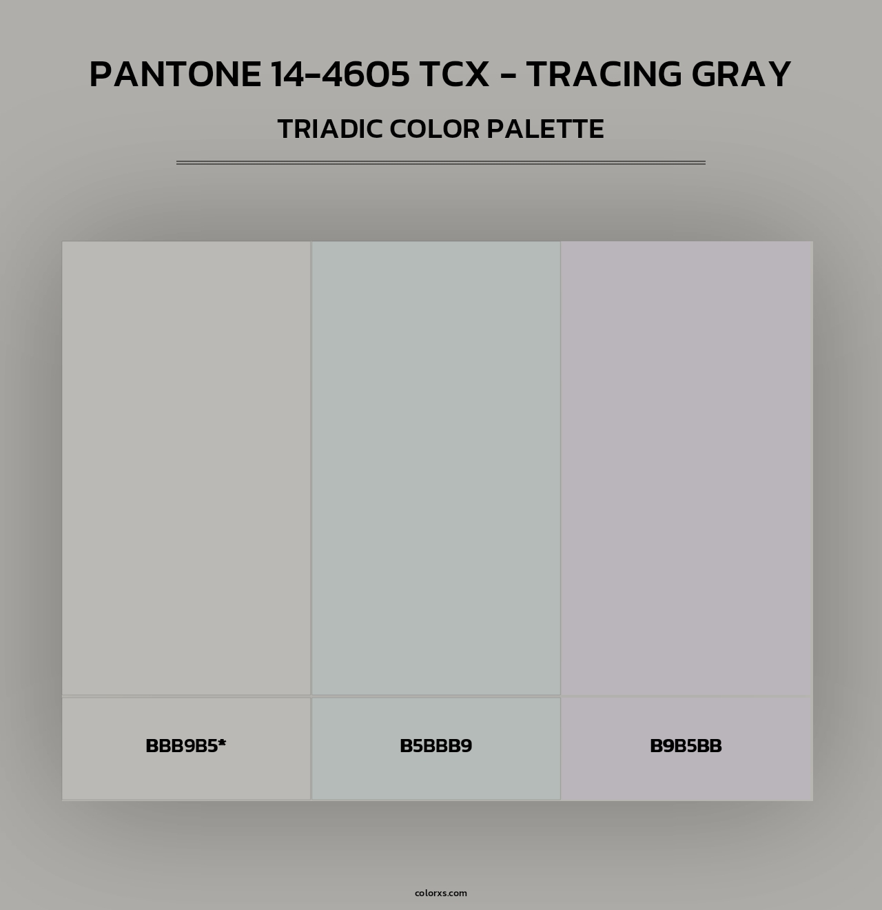 PANTONE 14-4605 TCX - Tracing Gray - Triadic Color Palette