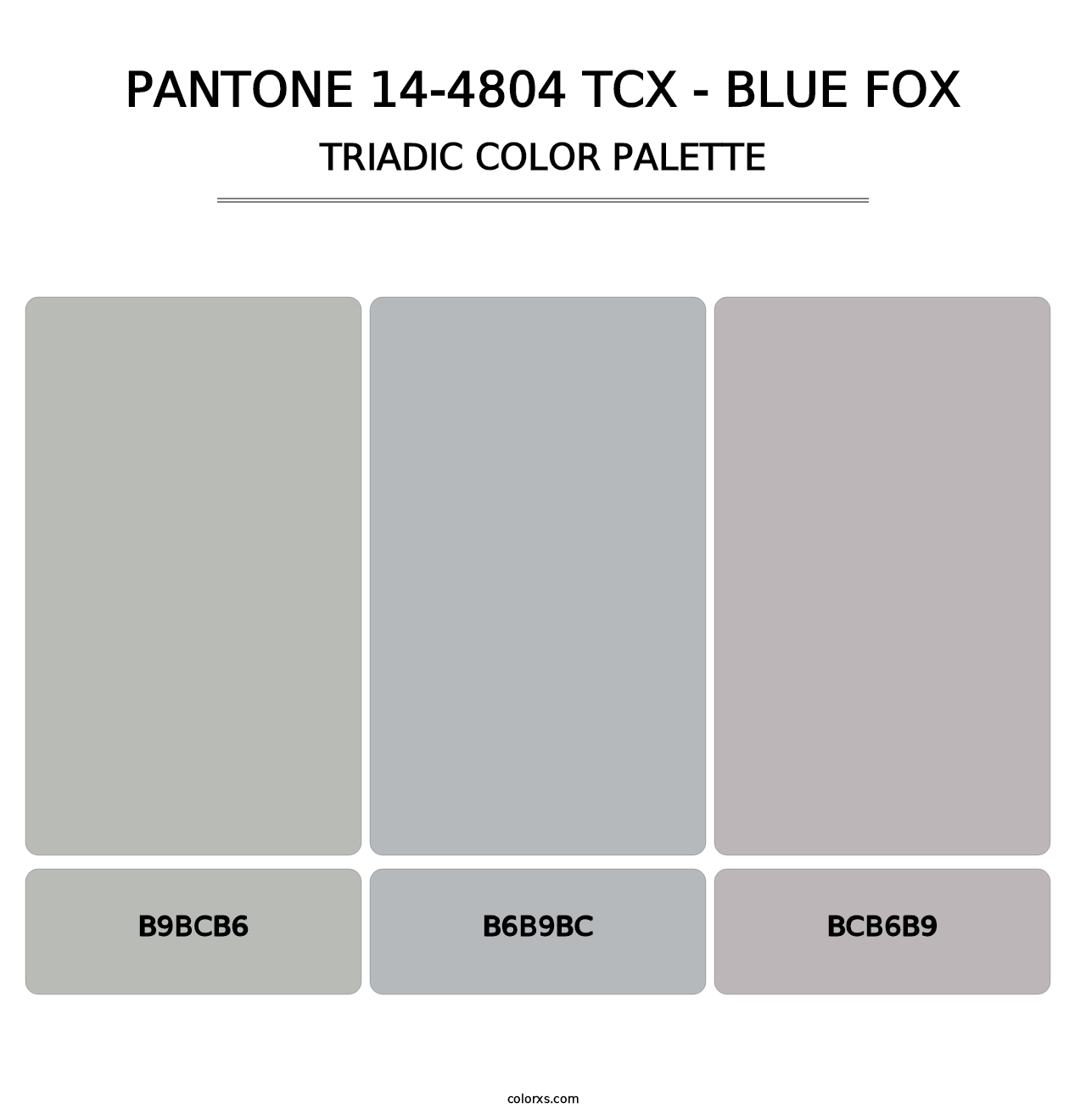 PANTONE 14-4804 TCX - Blue Fox - Triadic Color Palette