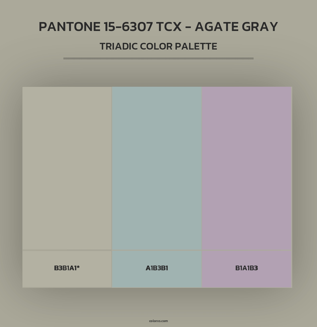 PANTONE 15-6307 TCX - Agate Gray - Triadic Color Palette
