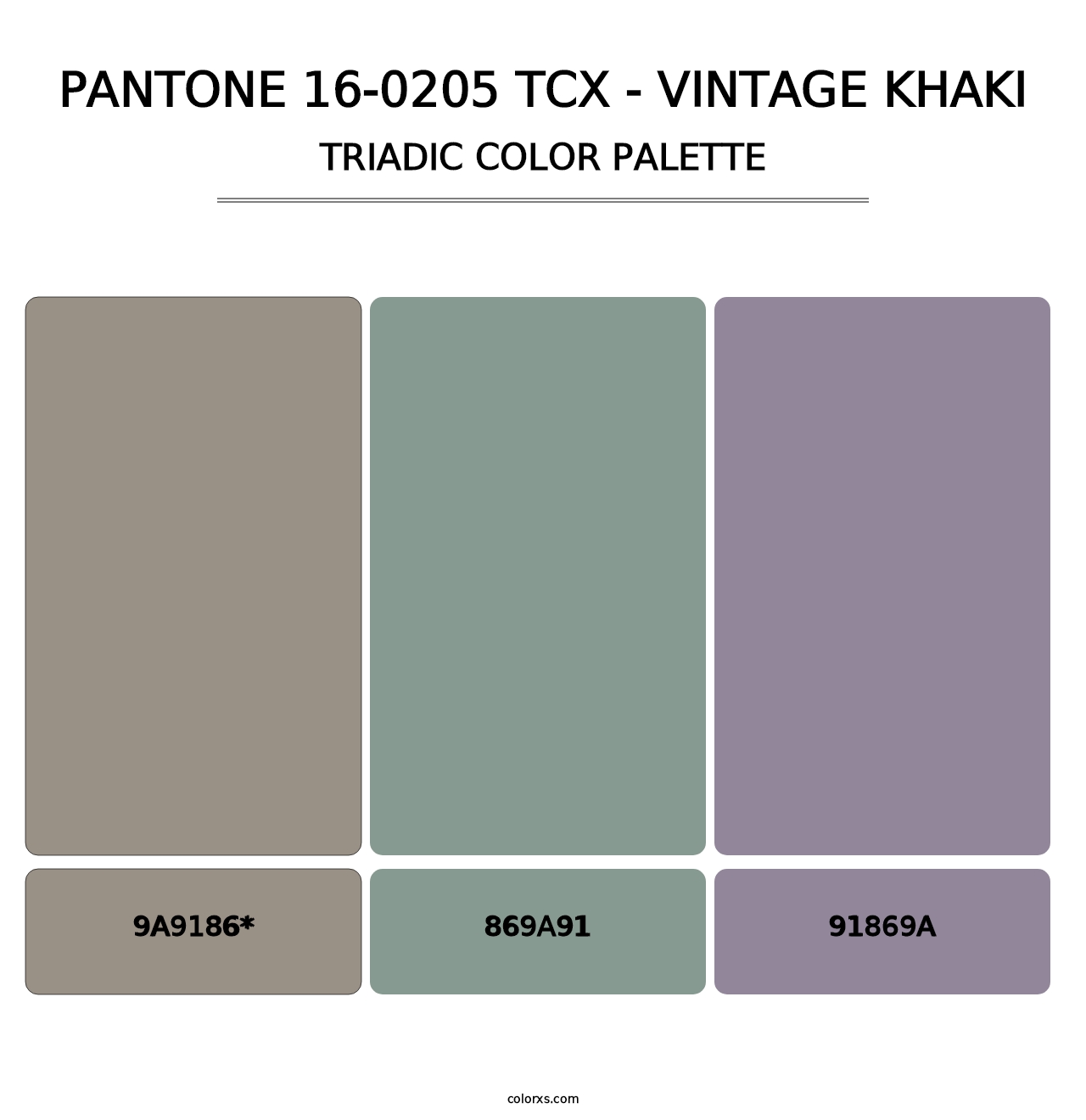 PANTONE 16-0205 TCX - Vintage Khaki - Triadic Color Palette