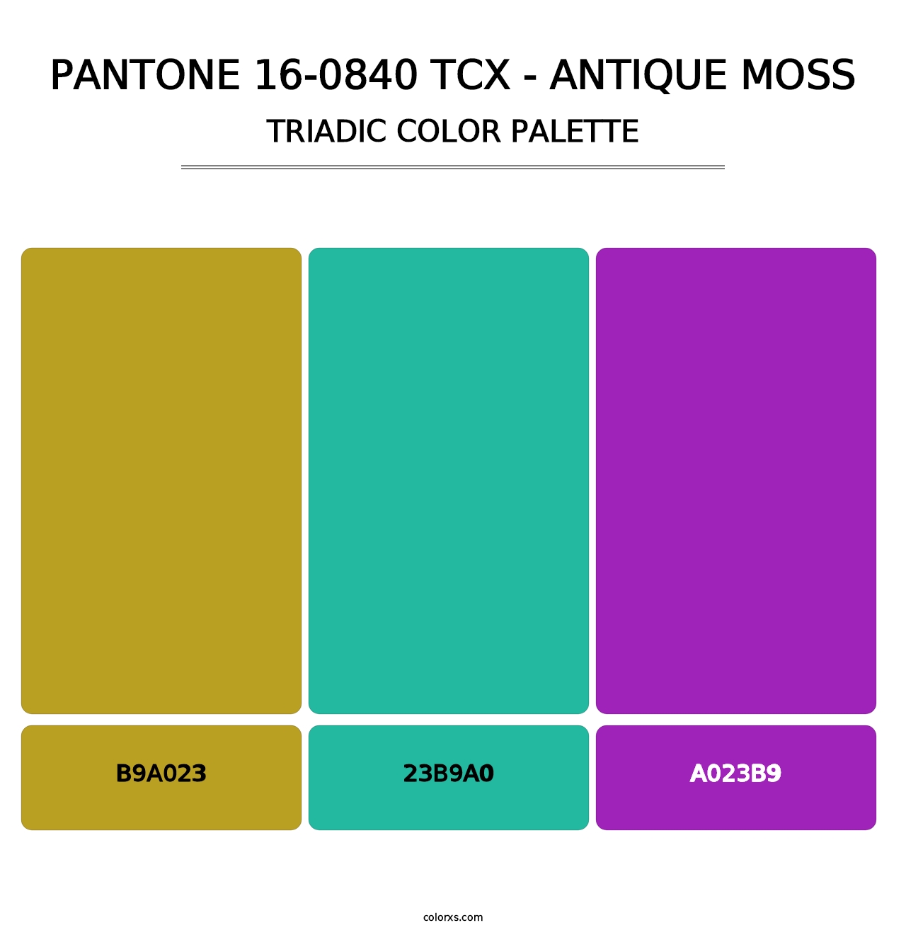 PANTONE 16-0840 TCX - Antique Moss - Triadic Color Palette