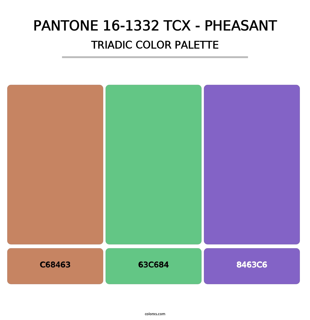 PANTONE 16-1332 TCX - Pheasant - Triadic Color Palette