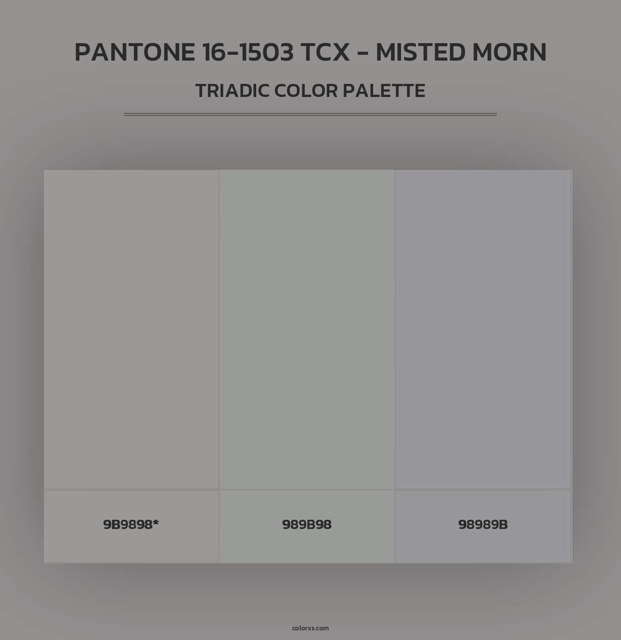 PANTONE 16-1503 TCX - Misted Morn - Triadic Color Palette