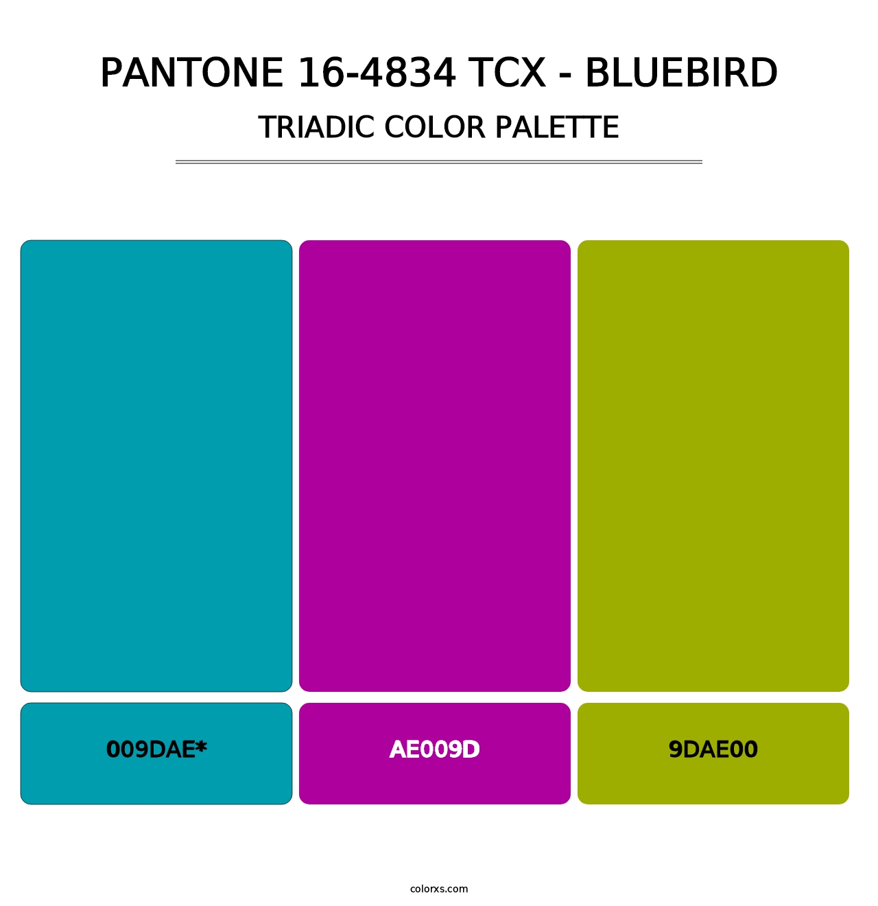 PANTONE 16-4834 TCX - Bluebird - Triadic Color Palette