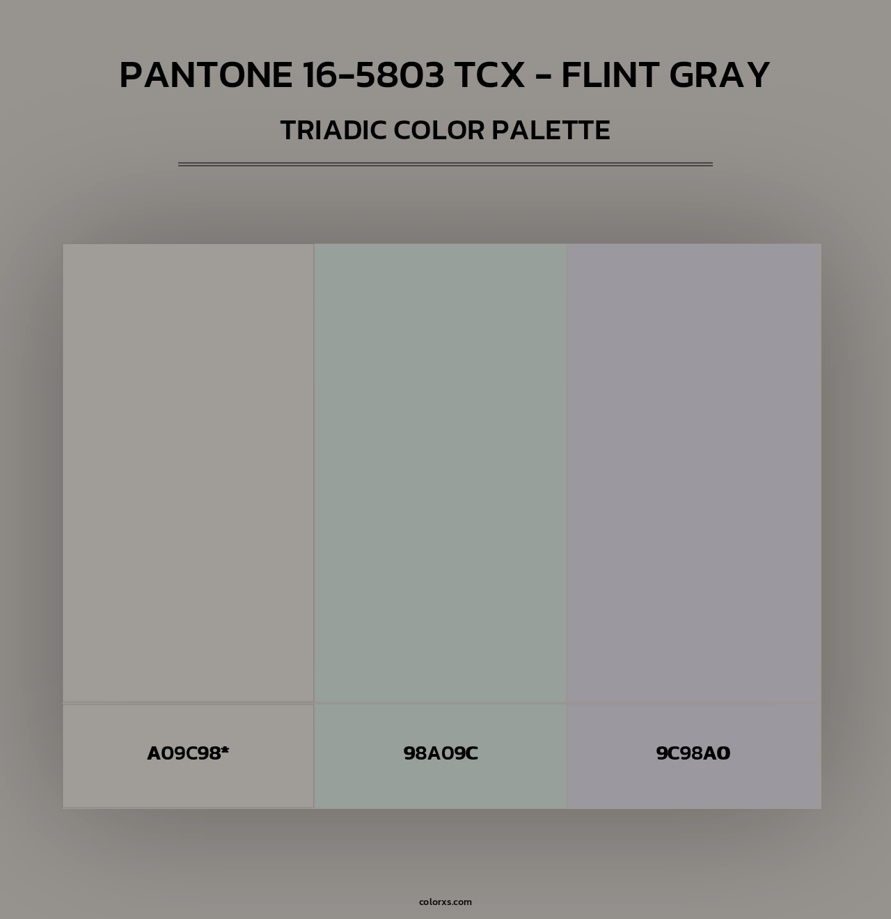 PANTONE 16-5803 TCX - Flint Gray - Triadic Color Palette