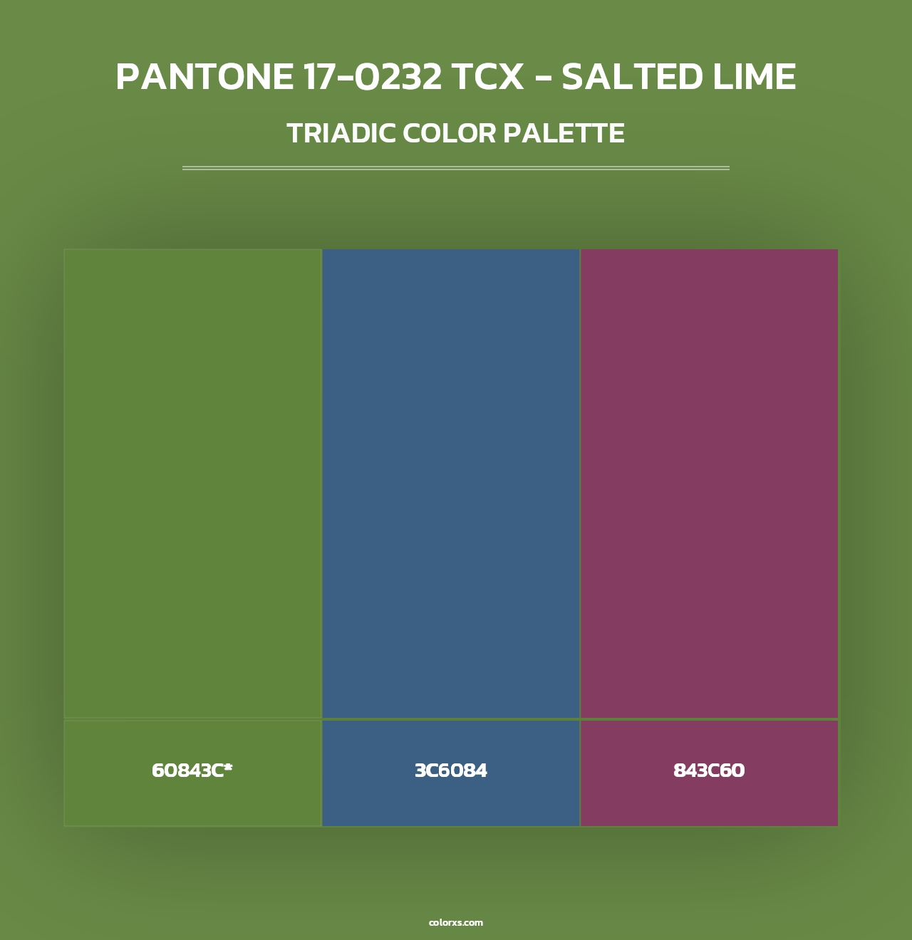PANTONE 17-0232 TCX - Salted Lime - Triadic Color Palette