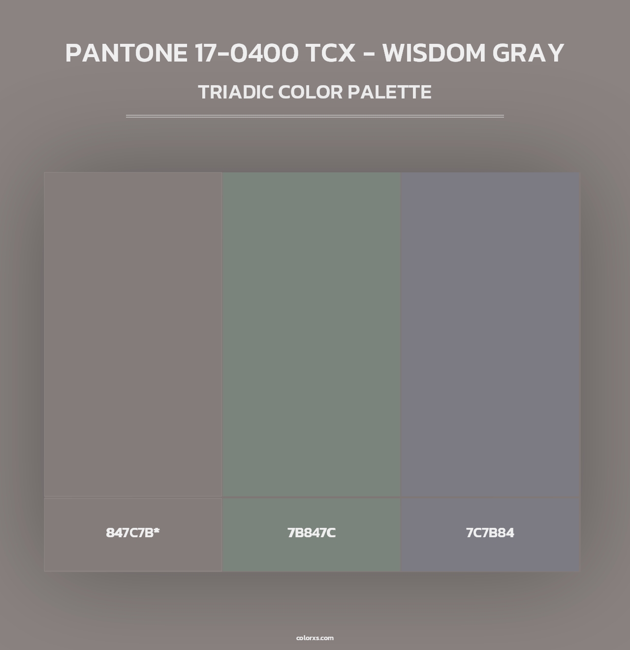 PANTONE 17-0400 TCX - Wisdom Gray - Triadic Color Palette