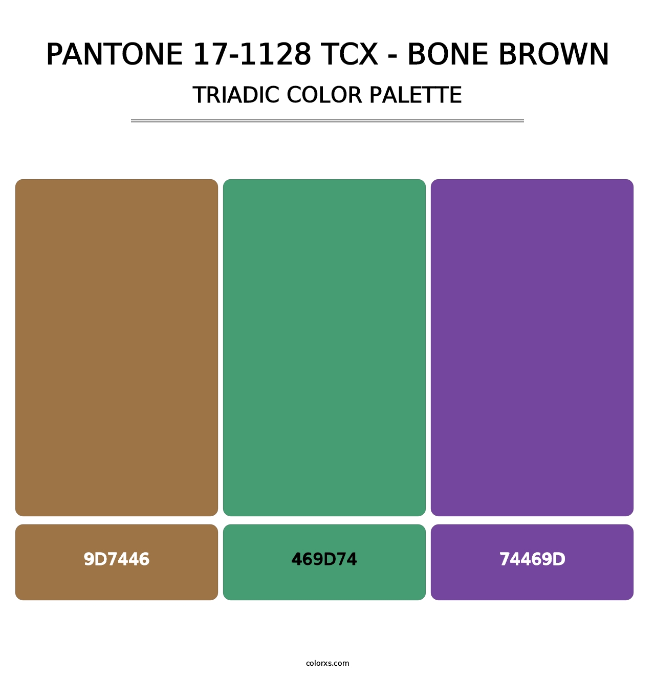 PANTONE 17-1128 TCX - Bone Brown - Triadic Color Palette