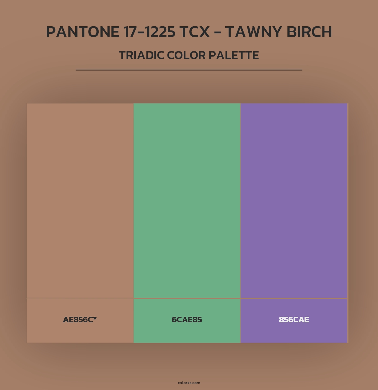 PANTONE 17-1225 TCX - Tawny Birch - Triadic Color Palette