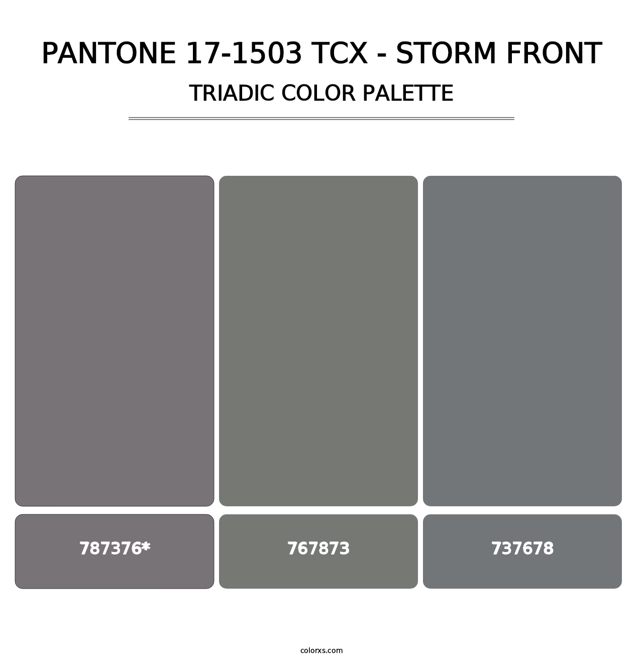 PANTONE 17-1503 TCX - Storm Front - Triadic Color Palette