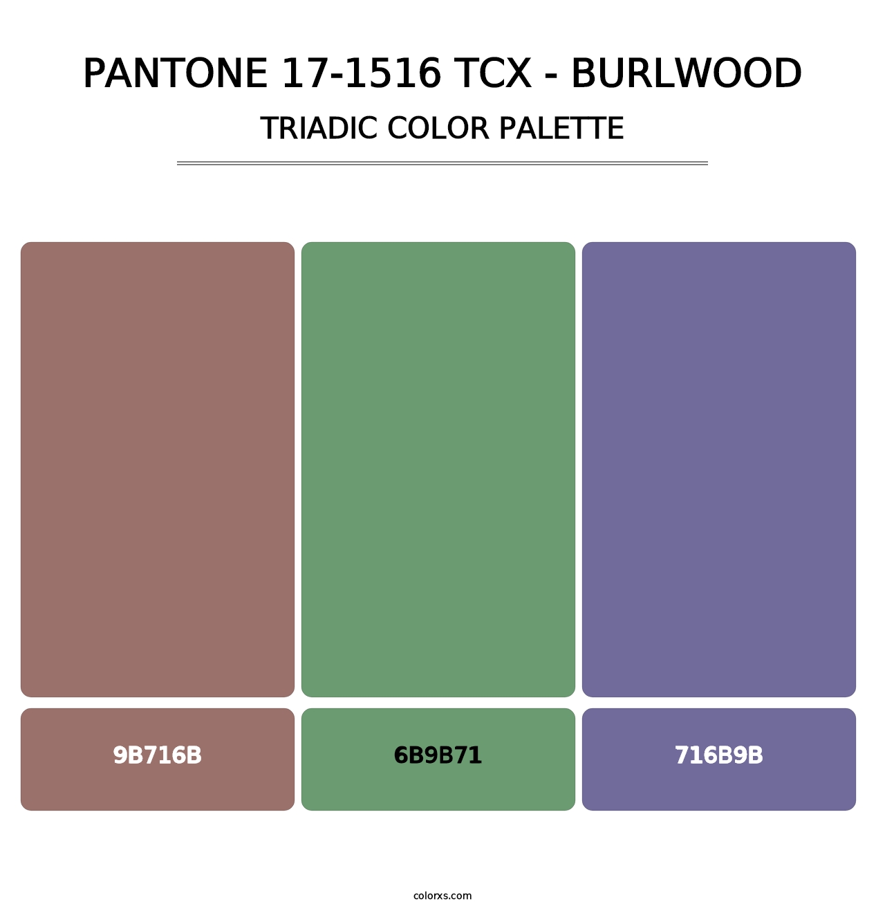 PANTONE 17-1516 TCX - Burlwood - Triadic Color Palette