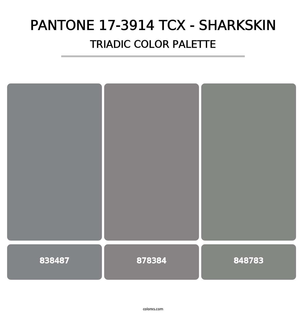 PANTONE 17-3914 TCX - Sharkskin - Triadic Color Palette