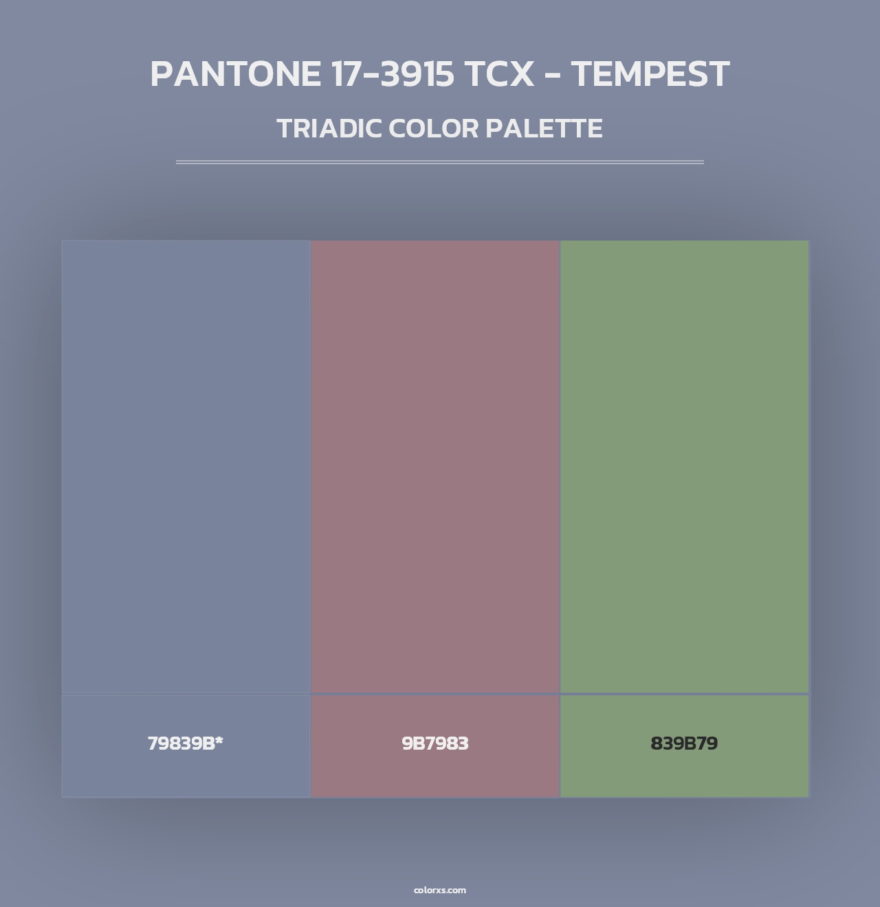 PANTONE 17-3915 TCX - Tempest - Triadic Color Palette