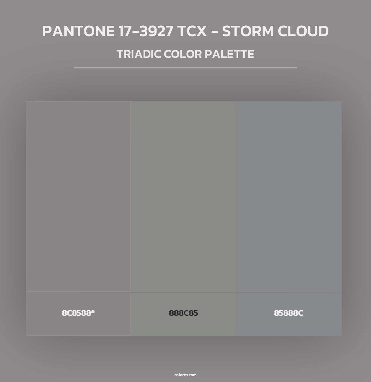 PANTONE 17-3927 TCX - Storm Cloud - Triadic Color Palette