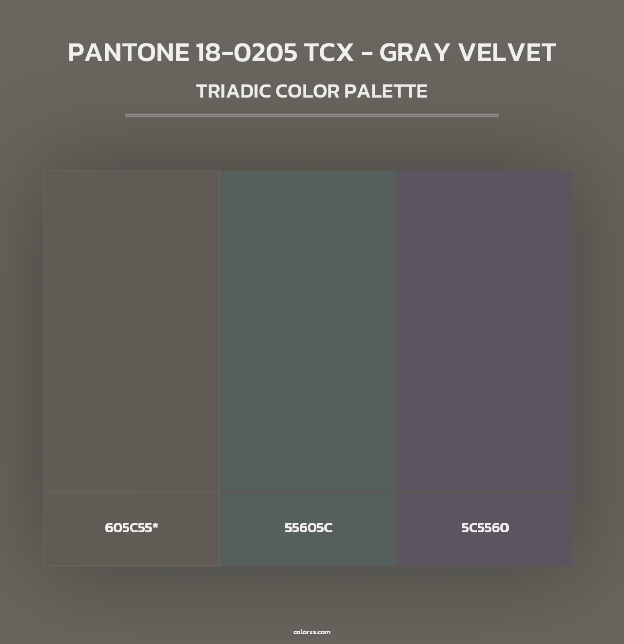 PANTONE 18-0205 TCX - Gray Velvet - Triadic Color Palette