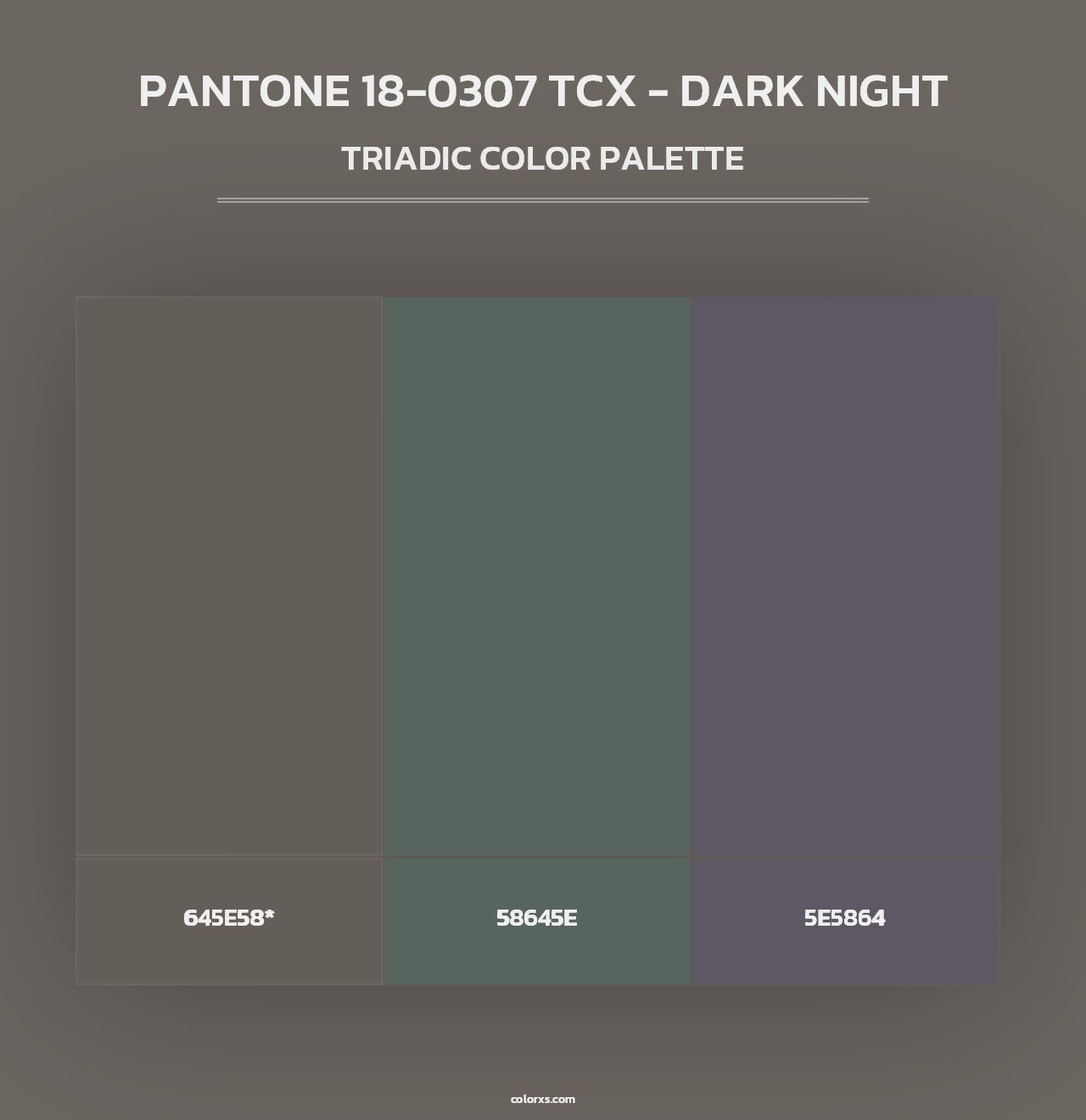 PANTONE 18-0307 TCX - Dark Night - Triadic Color Palette