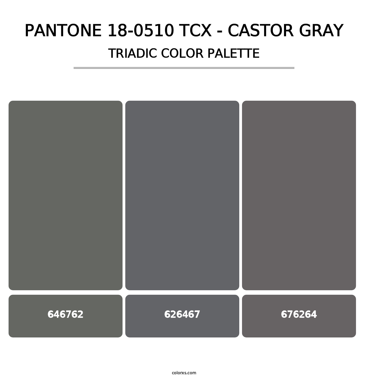 PANTONE 18-0510 TCX - Castor Gray - Triadic Color Palette