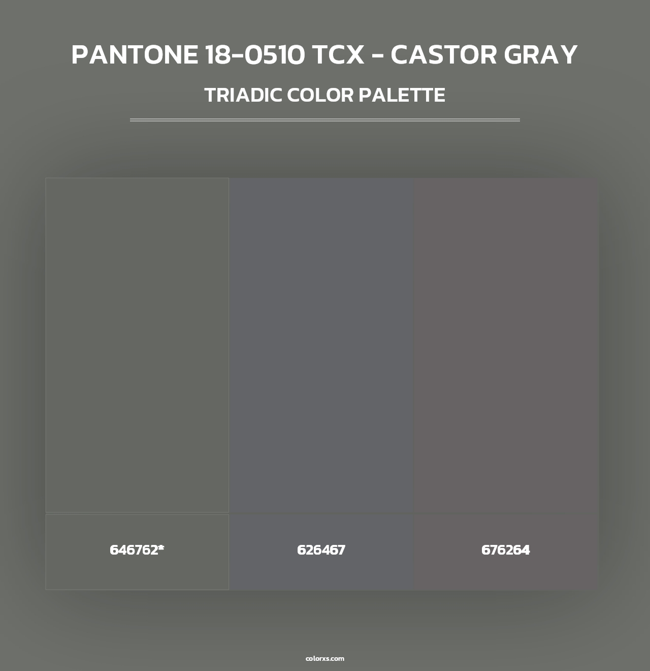 PANTONE 18-0510 TCX - Castor Gray - Triadic Color Palette