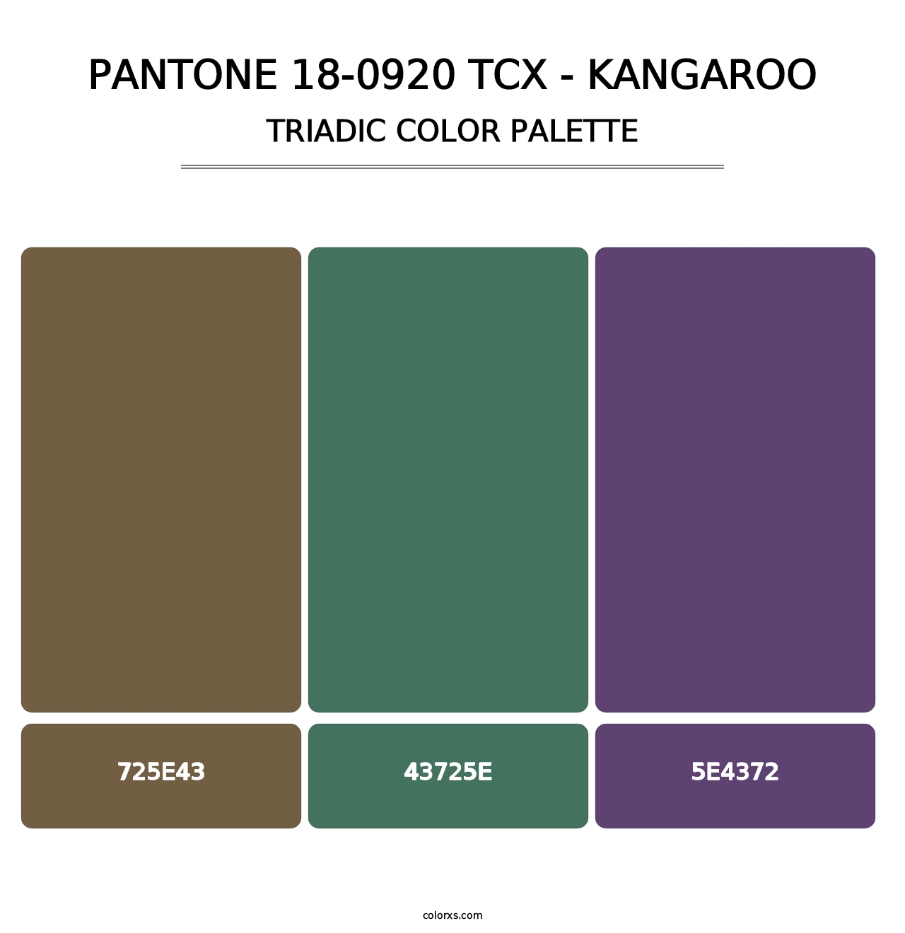 PANTONE 18-0920 TCX - Kangaroo - Triadic Color Palette