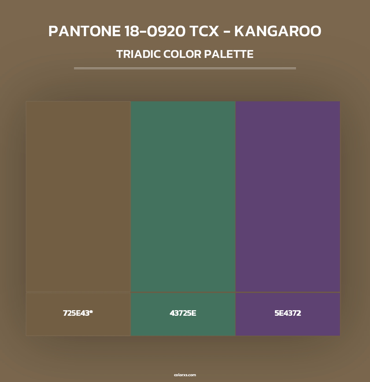 PANTONE 18-0920 TCX - Kangaroo - Triadic Color Palette