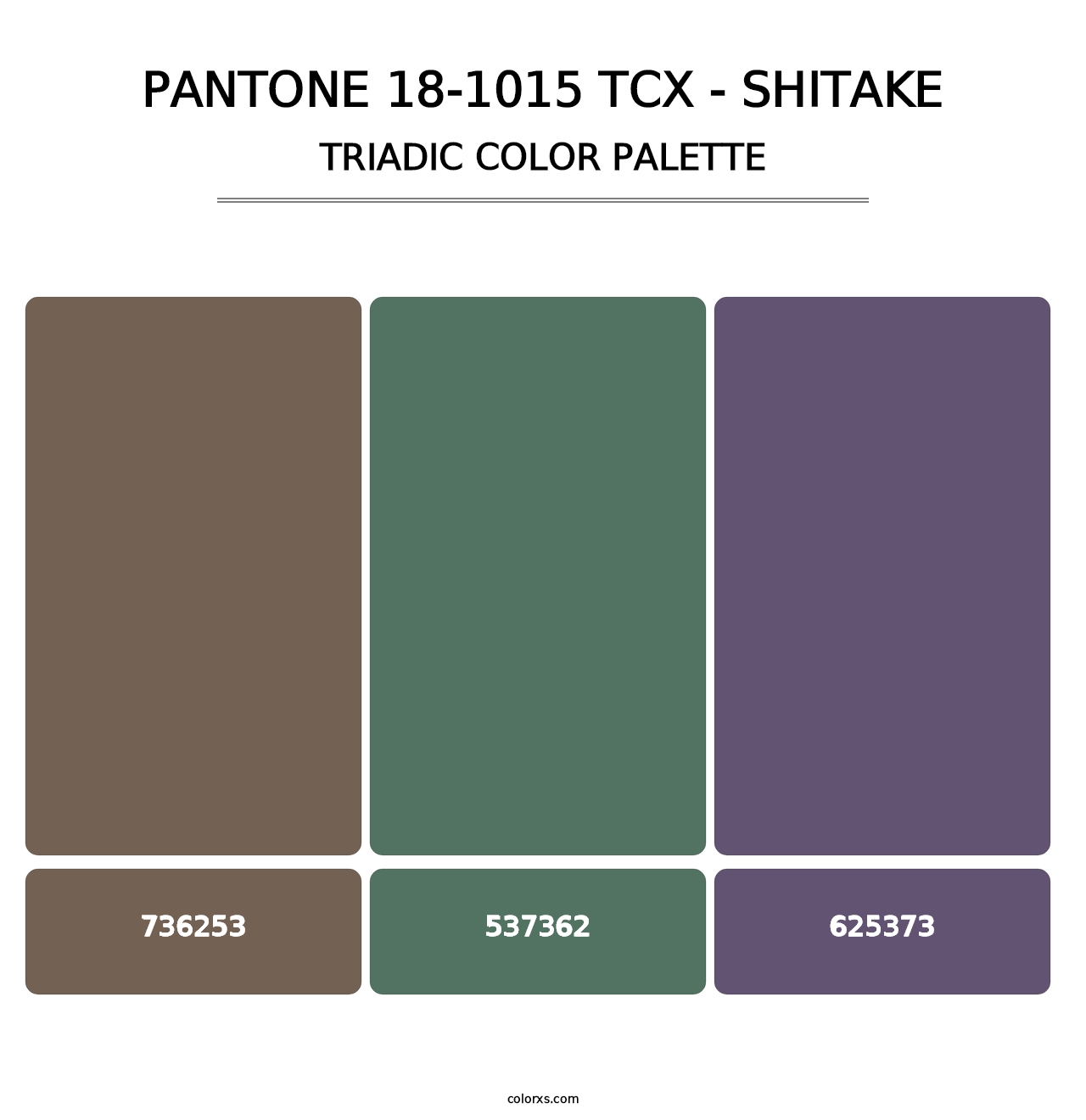 PANTONE 18-1015 TCX - Shitake - Triadic Color Palette
